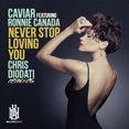 thumbnail image 2 of Never Stop Loving You (Chris Diodati Remixes), 2 of 2