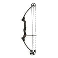thumbnail image 2 of Genesis Archery Compound Bow w/Adjustable Sizing, Left-Handed (4 Pack), 2 of 3