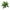 A, variant on Tainini Clearance!!! Ferns Artificial Boston Fern Bush Plant,Faux Plant Shrubs Greenery Bushes Indoor Outside,Hanging Basket Planter Decor for Home Garden Office Verandah Wedding Decor