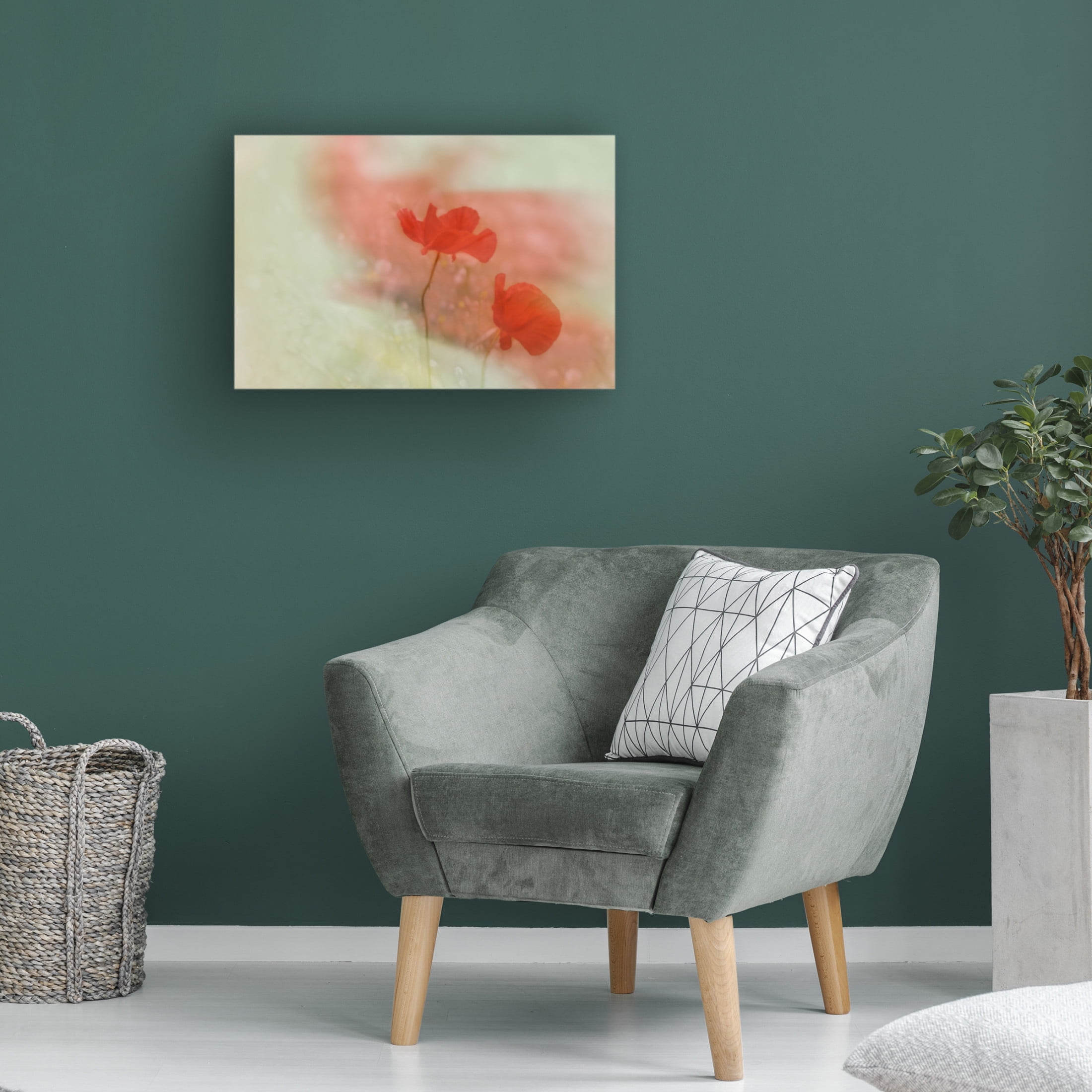 Trademark Fine Art Marie anne Stas Poppy 2 Canvas Wall Art