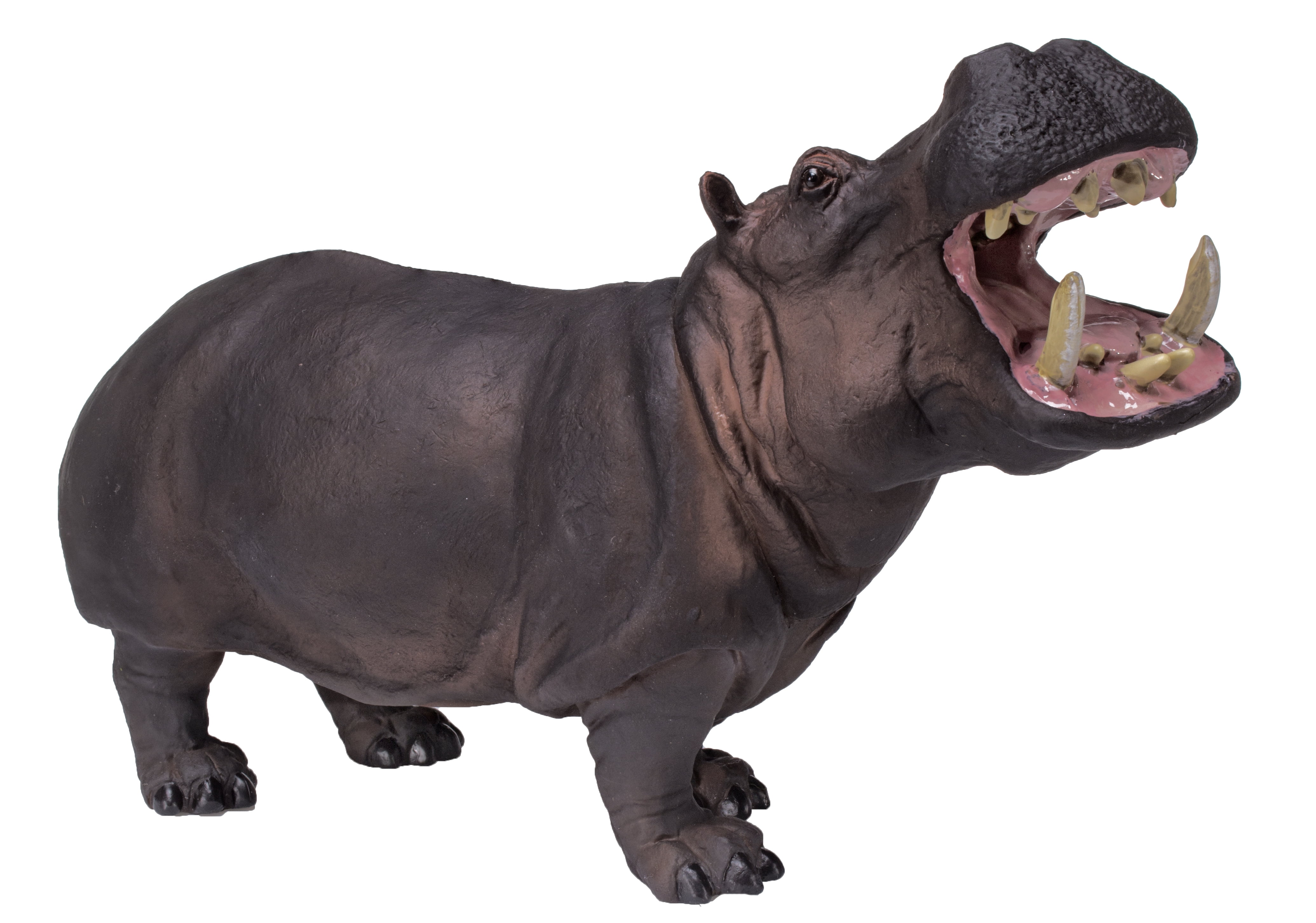 Safari Ltd Wildlife Wonders Hippo - Walmart.com - Walmart.com
