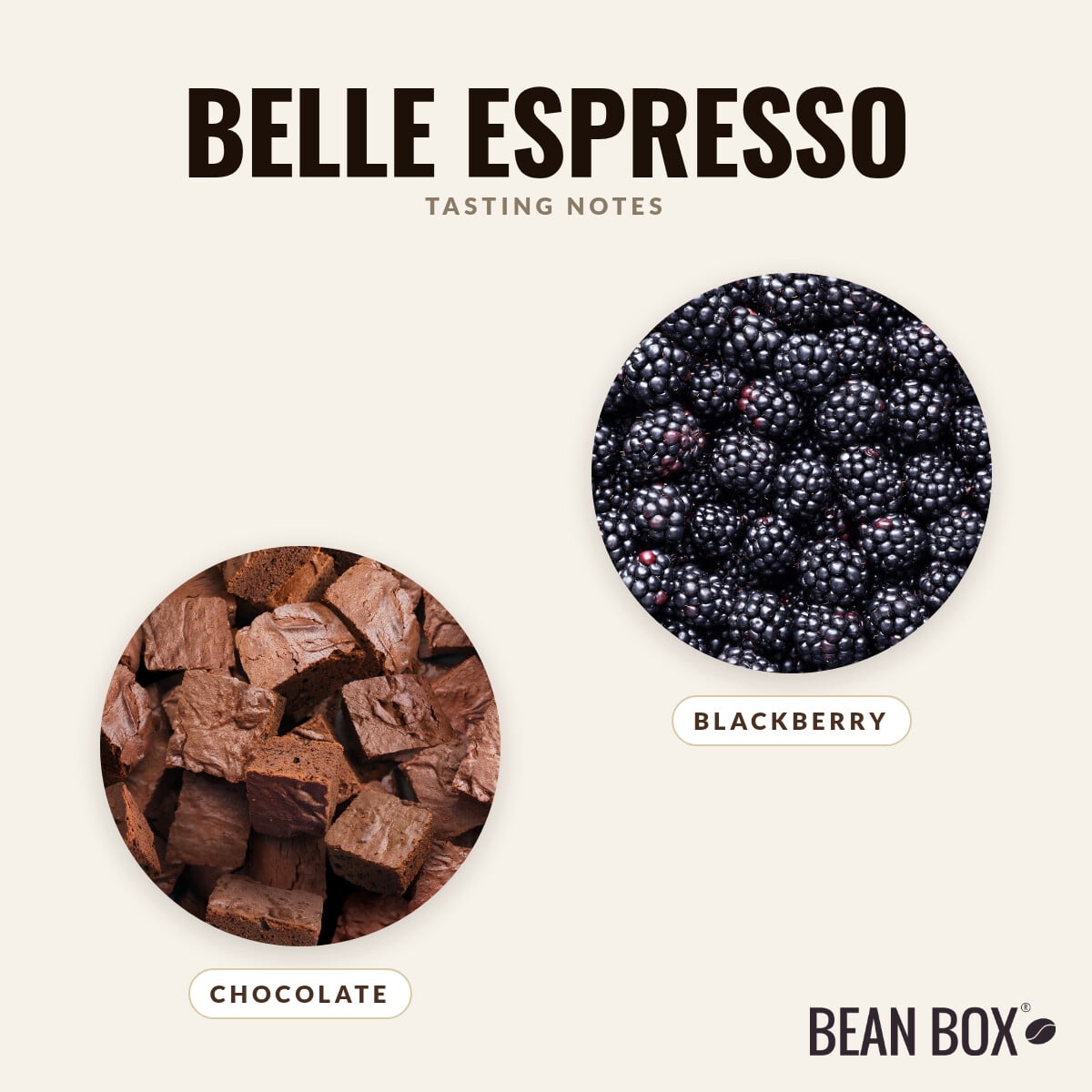 Belle Espresso - Roasted by Klatch Coffee - Whole Bean Coffee - 310g Bag