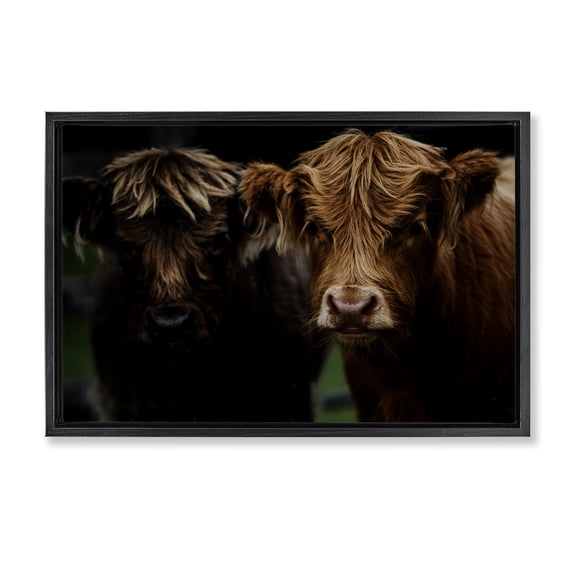 Cow Faces Highland Pair Black Framed Floater Canvas Wall Art, design by Amy Carroll
