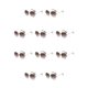 thumbnail image 1 of Sonducket PC Gafas de sol sin marco para mujer - Protección 400 Cara ovalada Cara cuadrada Gafas de sol Rhinestone Café Café 10piezas, 1 of 6