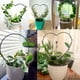thumbnail image 4 of Estante de escalada para interior, estante en forma de corazón, Clematis, montaña, tortuga, soporte de planta verde, estante de flores de hierro DIY, 4 of 5