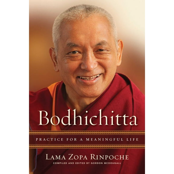Bodhichitta : Practice for a Meaningful Life (Hardcover)