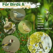 Old Potters Wildlife Sunflower Hearts & Chips, Attracts Birds & Wildlife, Organic Raw NON GMO, USA Grown, Small Farm