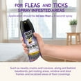 Hot Shot Ultra Bed Bug & Flea Killer Aerosol, Kills Bed Bugs and Their