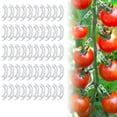 thumbnail image 1 of SPRING PARK 50/100Pcs Tomato Stem Support Clips Plant Garden Fixing Clips Anti-Bending Vegetable, 1 of 6