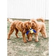 thumbnail image 3 of Nylabone Power Play Fling-a-Bounce Ball Dog Toy, Large, 3 of 5