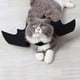 thumbnail image 1 of Disfraz de gato para mascotas Alas de murciélago de Halloween Disfraces para mascotas Ropa para mascotas para perros y gatos pequeños, Collar Cosplay Disfraz de murciélago Sailing  Electrónica, 1 of 4