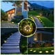 thumbnail image 2 of Lamparas solares para exterior 8 LED, lampara de jardin solar, lampara de jardin exterior lamparas jardin IP65 (8 blanco calido) oso de fresa Electrónica, 2 of 5