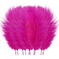 thumbnail image 3 of 10 PCS Ostrich Feathers,Bulk Soft Natural Feathers for Crafts Centerpieces Party Wedding Home Decorations Dream Catchers Vases (Hot Pink 8-9.8 Inch), 3 of 4