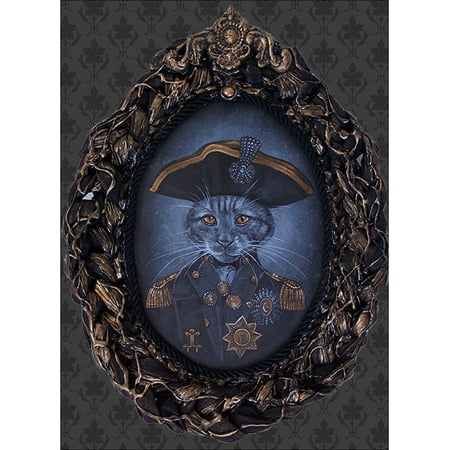 Admiral Coozington J Larkin Framed Print Cat Sailor Victorian Steampunk Portrait