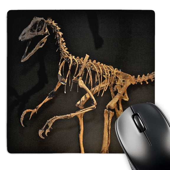 3dRose, Podiceps sociata from the miocen, MousePad