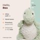 thumbnail image 2 of Peluche Bearington Rex The T-Rex Dino de 30 cm, 2 of 6