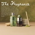 thumbnail image 3 of Perfume Molton Brown Tea Ceremony Travel Eau de Parfum, 7,5 ml, 3 of 6