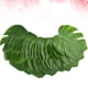 thumbnail image 3 of 30PCS Monstera simulada Decoración de hojas Realista Adorno de hojas verdes Plantas artificiales Adorno de hojas Suministros de decoración creativa para el hogar (Verde Tamaño mediano de 8 pulgadas), 3 of 5