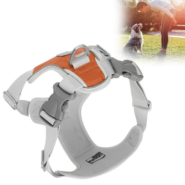 Chaleco con correa para mascotas Arnés de rayas reflectantes Oxford ajustable ANGGREK Otros