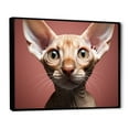 thumbnail image 2 of Designart "Peterbald Playfulness Cat Portrait" Animals Cat Floater Framed Wall Decor, 2 of 5