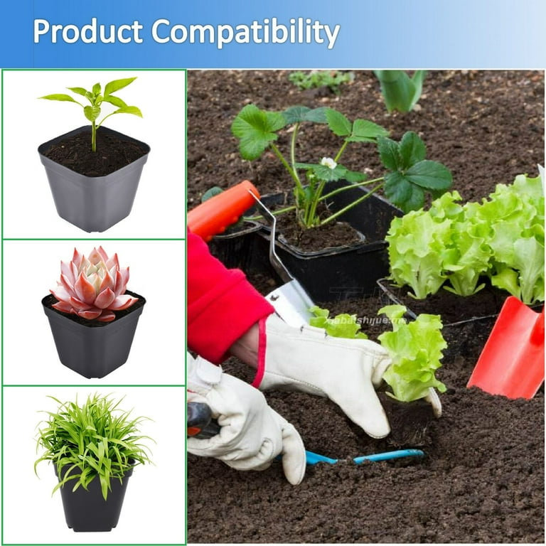 100pcs Bulk Pack 4x4 inch Square Plastic Seedling Pots for