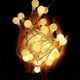 thumbnail image 5 of Guirnalda de luces de hadas con forma de globo de 40 LED, resistente al agua, carga USB para exteriores, interiores, jardines (amarillo cálido), 5 of 5