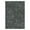 Black, variant on Hasoo Brown Washable Area Rugs 4' x 6' Rug for Living Room Checkered Geometric Modern Non Slip Throw Indoor Carpet