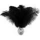thumbnail image 2 of Piokio 20 plumas de avestruz negras naturales de 10 a 12 pulgadas (25 a 30 cm) a granel para decoraciones de Halloween, centros de mesa de bodas, decoraciones de Gatsby, 2 of 4