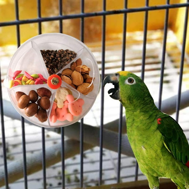 Jouet de mangeoire à oiseaux rotatif pour boîte de mangeoire à oiseaux en  forme de roue de jouet de perroquet 