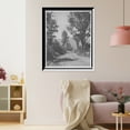 thumbnail image 3 of Historic Framed Print, [The Road to Mount Greylock, Adams, Mass.], 17-7/8" x 21-7/8", 3 of 9