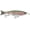 Multicolor, variant on Storm AGB19680 Arashi Glide 19, 7-1/2", 3-1/8 Ounce, 2/0 Hooks, Bluegill