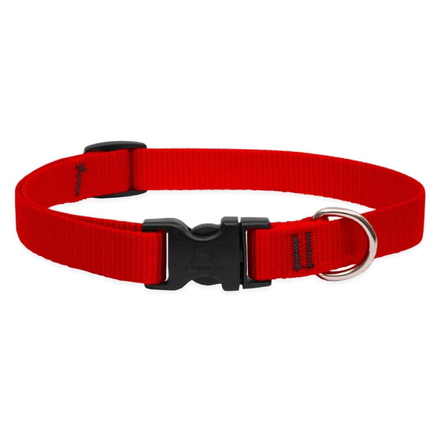 Collar ajustable LupinePet Basics 3/4 rojo para perros pequeños