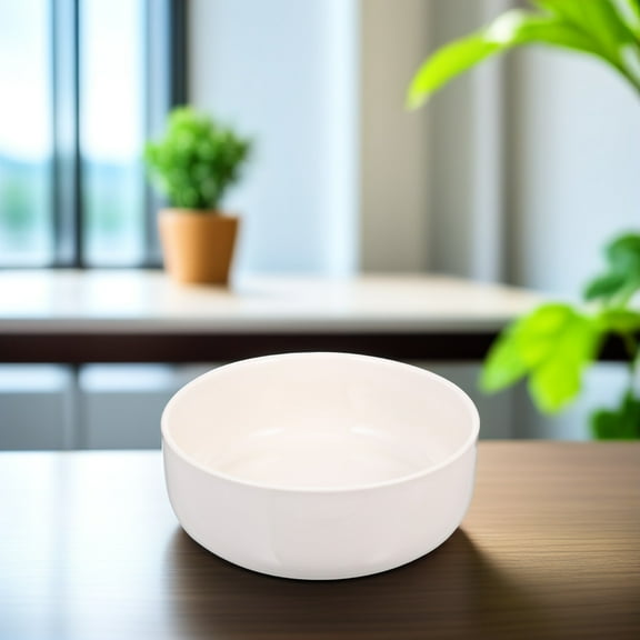 LEORX 1Pc Ceramic Flower Pot Simple Design for Indoor Succulent Plants White