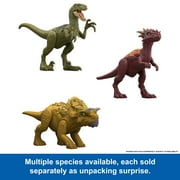 Jurassic World Dino Reveal Dinosaur Toys, Warm Water Uncovers Full Decoration, Unpack & Color Change