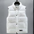 thumbnail image 1 of Autumn Winter Vest Men 2023 New Fashion Warm Cotton Padded Sleeveless Jacket Men Casual Stand Collar Solid Color Waistcoat, 1 of 5