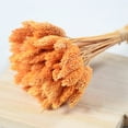 thumbnail image 2 of Coofit Dry Flower Branch DIY 24PCS Simple Natural Dried Grass Stem Dry Grass Decor, 2 of 8