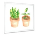thumbnail image 2 of Designart 'Ficus and Sansevieria Indoor Green Home House Plants' Traditional Framed Art Print, 2 of 4