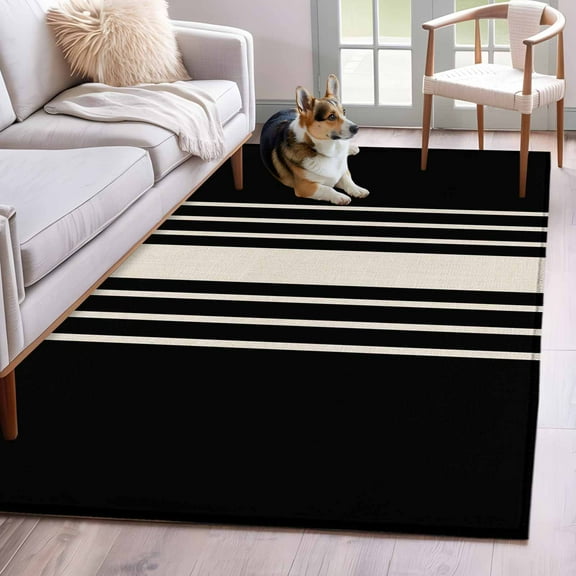 Black Beige Striped Area Rug 3x5 Washable Rug Non Slip Modern Farmhouse Retro Lines Large Area Rug Indoor Floor Carpet for Entryway Bedroom Kitchen Living Room Home Office Dining Room Nursery