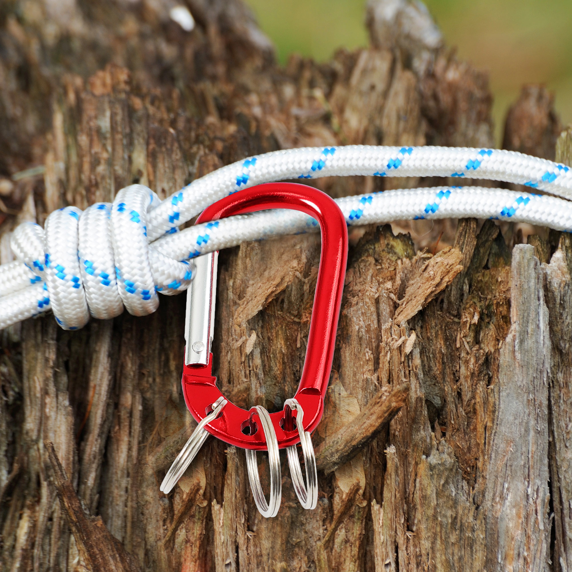 Unique Bargains D Ring Carabiners Clip Metal Spring Snap Hook with 3 Key Ring