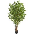 thumbnail image 1 of Nearly Natural 9174 6 in. Maple Artificial Tree, 1 of 1