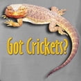thumbnail image 3 of CafePress - Bearded Dragon 2 Got Crickets Black T Shirt - Womens Comfort Colors® Shirt, 3 of 4