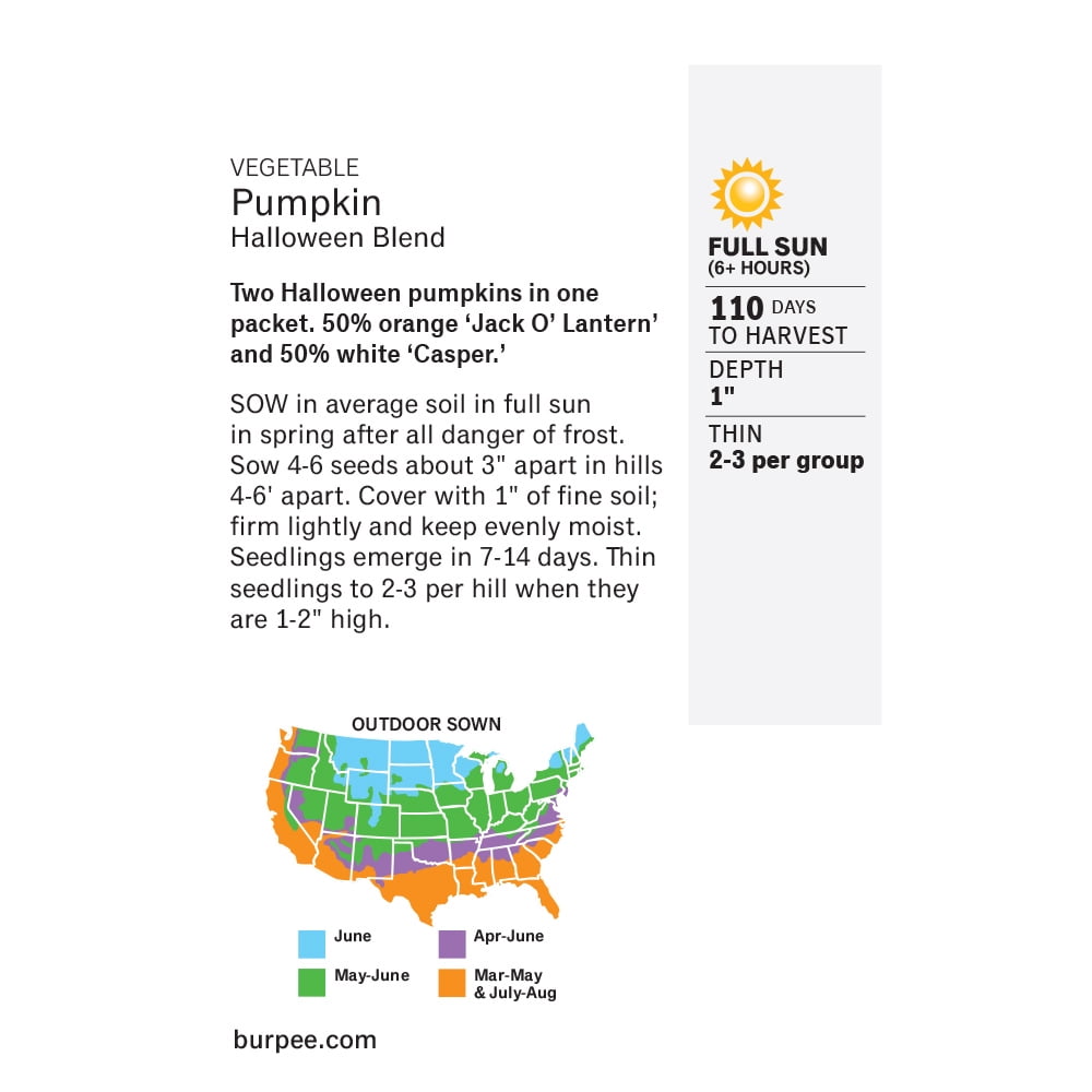 Burpee Halloween Blend Pumpkin Vegetable Seed, 1-Pack