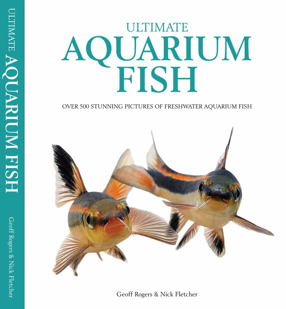Ultimate Aquarium Fish
