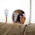 thumbnail image 2 of Less Than 5 Stickers 3D Mice Hole Wall Sticker Realistic Wall Sticker Party Children's Room Living Room Wallpaper, 2 of 9