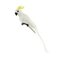thumbnail image 5 of unbranded Fake Parrot for Shoulder Artificial Bird Realistic Decor, 5 of 8