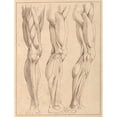 thumbnail image 2 of Hamlet Winstanley 19x24 Black Ornate Framed Double Matted Museum Art Print Titled: Anatomical Studies of Legs (1716), 2 of 5