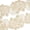 Champagne, variant on Sequin Lace Trim 4 Inch Wild Flower Corded Scalloped Embroidery On Sheer Polyester Mesh Fabric - Champagne (4.5 Meters, 1 Pack)