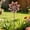 Red-Free Size/RD, variant on Iron Flower Garden Windmill Plugin Outdoor Yard Decor Metal Petal Spinner Stake Garden Ornament Balcony Courtyard Flower Bed Lawn Patio Seasonal Outdoor Decoration Gift For Home Garden Landscape
