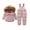 Pink, variant on XBASW Toddler Baby Boys Girls Overalls Outfit Kids Winter down Snowsuit Hooded Coat + Ski Bib Pants Windproof Warm 2PCS Set 1-5T