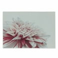 thumbnail image 1 of Dahlia Cutting Board, Close up Blossom Pastel Colored Petals Single Large Flower Meadow Print, Decorative Tempered Glass Cutting and Serving Board, Small Size, White Ivory and Ruby, by Ambesonne, 1 of 1